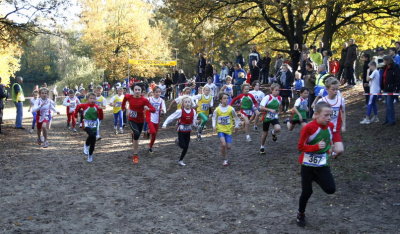 OGP_201010311830.JPG