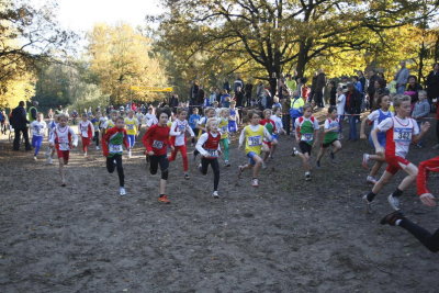OGP_201010311831.JPG