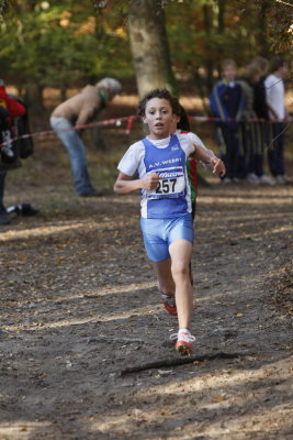 OGP_201010311890.JPG
