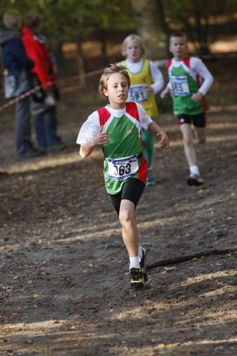 OGP_201010311923.JPG