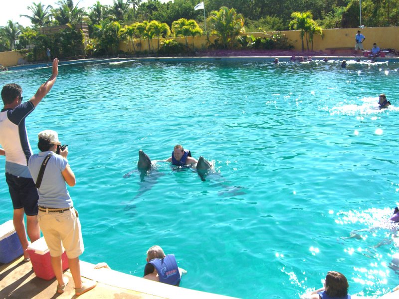 pv_dolphins8.jpg