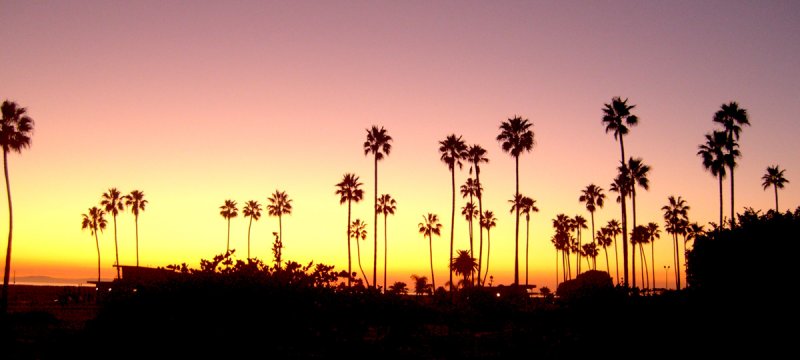 cdm_sunset6.jpg