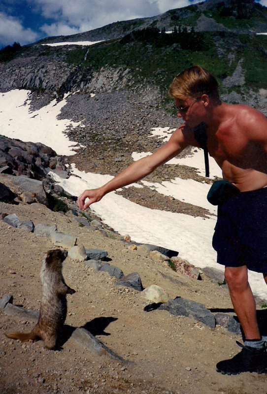 rainer96_marmot.jpg