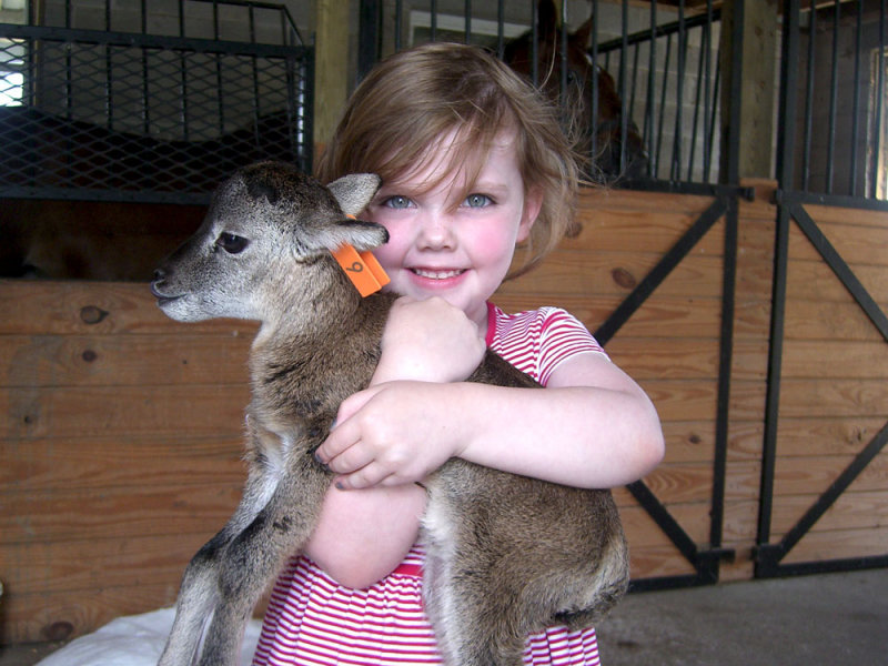 ellie_babyram.jpg