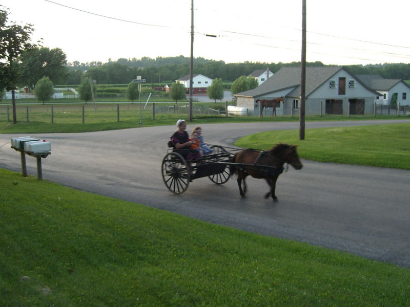 kids_buggy3.jpg