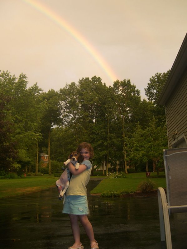rainbow_elliesnoop.jpg