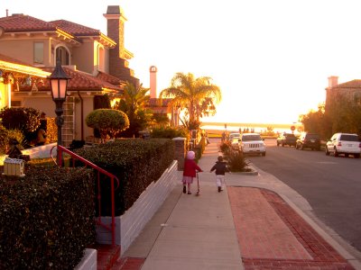 cdm_walk2.jpg
