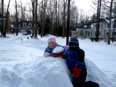 Blizzard Dec10