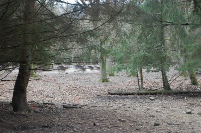 DSC_1389.JPG