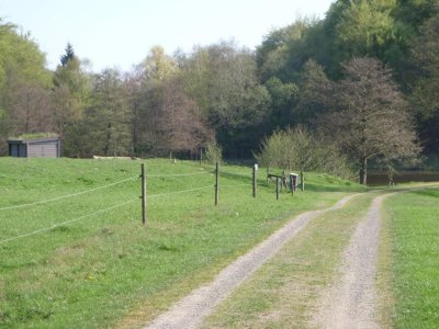 P4300018.jpg