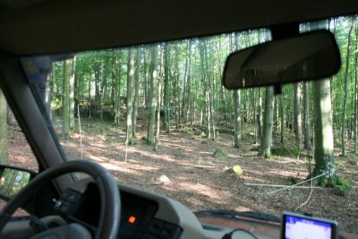IMG_7826.jpg