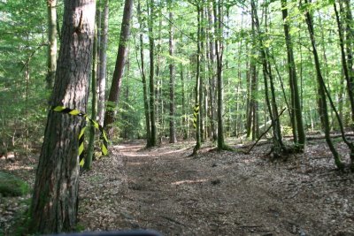 IMG_7829.jpg