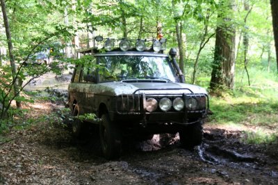 IMG_7856.jpg