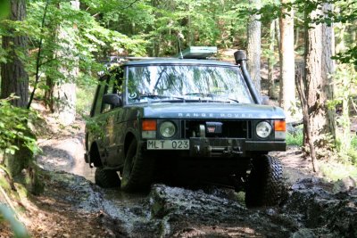 IMG_7863.jpg