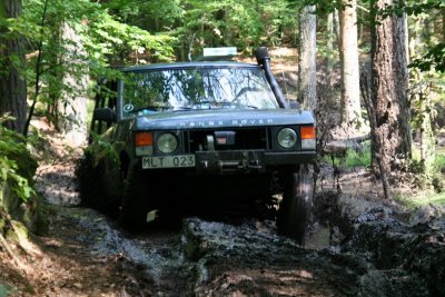 IMG_7866.jpg