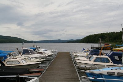 IMG_7948.jpg
