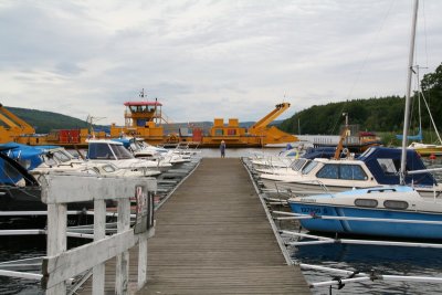IMG_7950.jpg