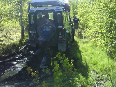 Greenlaning6.jpg