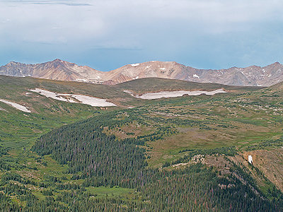 Trail Ridge View