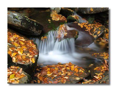 Roadside Stream