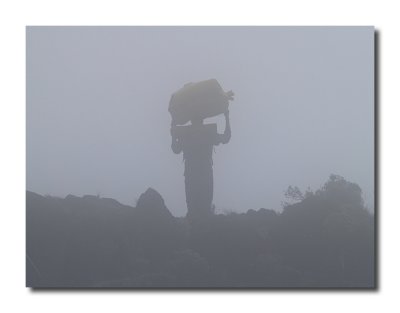 Porters in the mist
