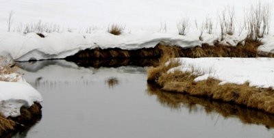 Marsh Creek