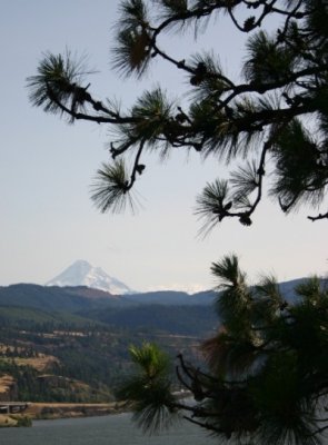 Mt. Hood from across the River