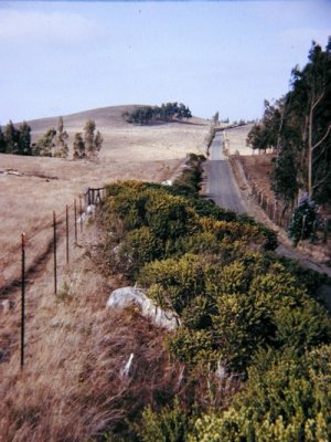 Estero Road, 1971