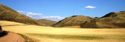 Harvested Oatfield, Wood Canyon