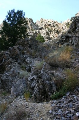 Rocks in Garden Creek Gap