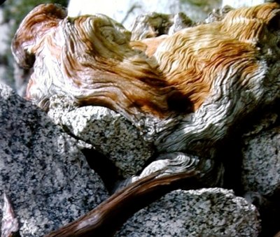 Wood and Rock Flow Together
