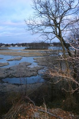 Rye Marsh, March 2006