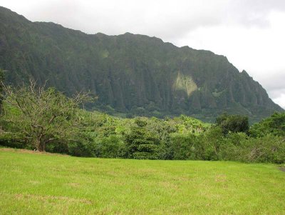 Mountain View from Kaneohe, Hawaii