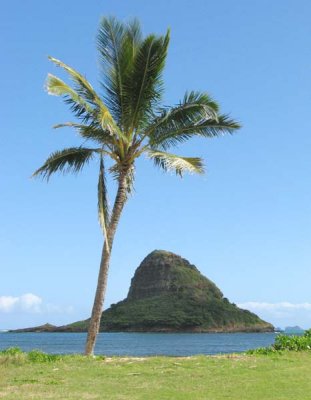Hawaiian View from Kualoa Beach