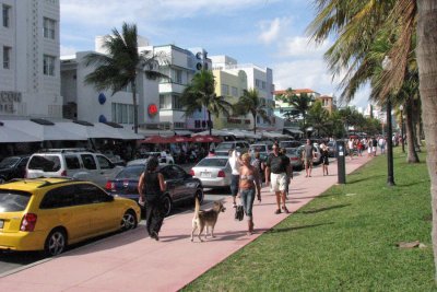 Looking North up Ocean Drive