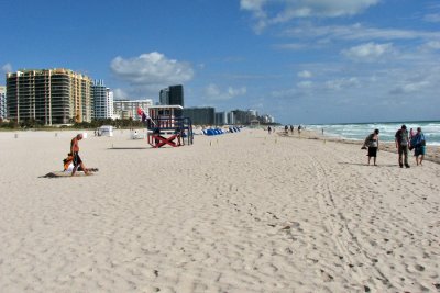 Looking North on Miami Beach