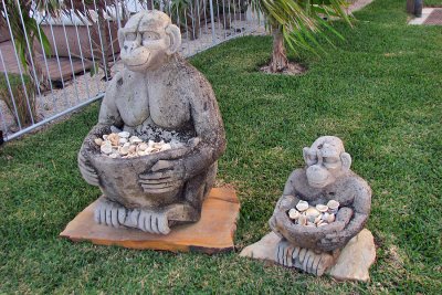 Drop a shell in the monkey's basket for good luck