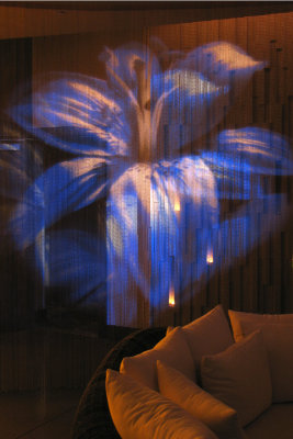 Floral projection on bead wall in lobby