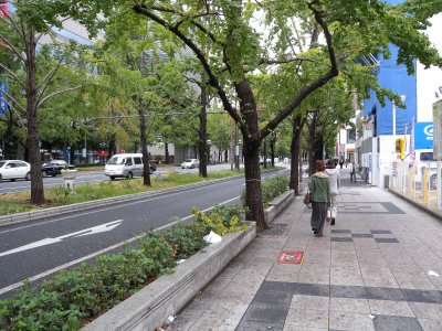 Osaka Yotsubashi-suji Street
