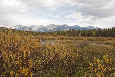 jasper scenery 010100_MG_7562