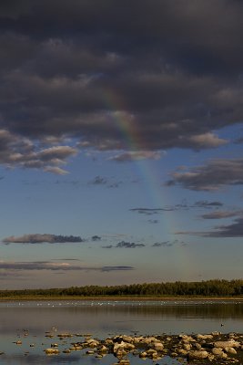 rainbow 091110IMG_2483