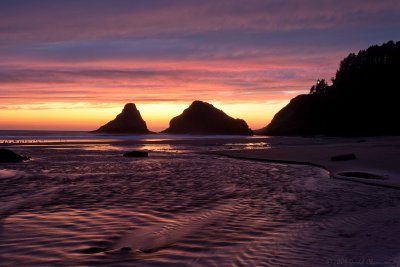 Oregon Coast