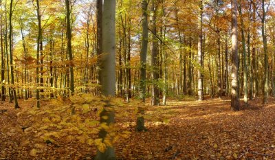 Thetford pano.jpg