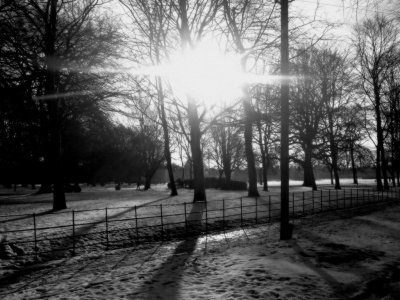 Wisbech park in snow2_BW.jpg