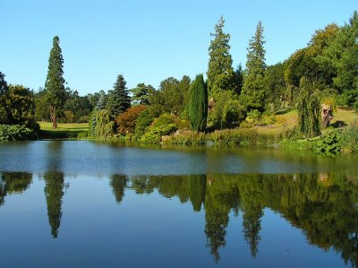 Reflection in the lake.jpg