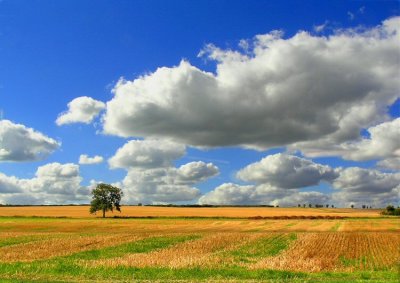 Norfolk sky.jpg