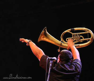 IMG_8618-copy.jpg