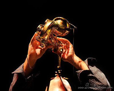 IMG_8730-copy.jpg