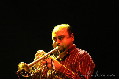 IMG_8982-copy.jpg