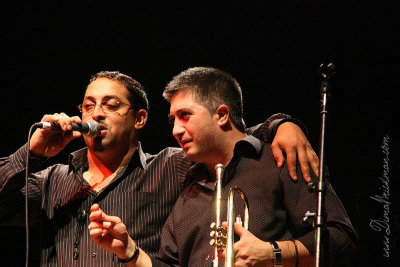 IMG_9005-copy.jpg